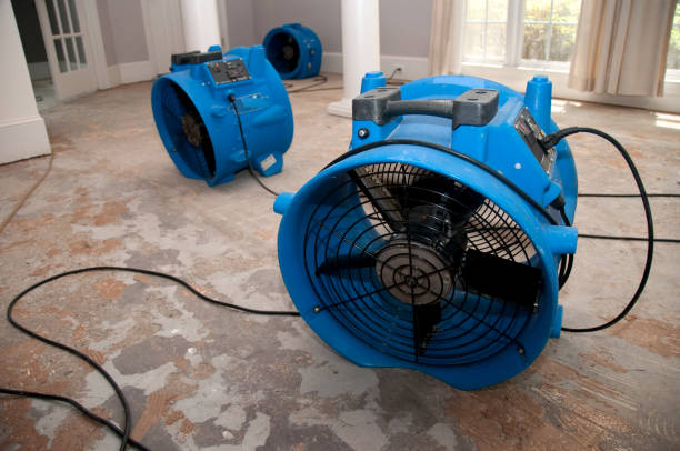 Best Flood damage cleanup  in Deerfield, WI