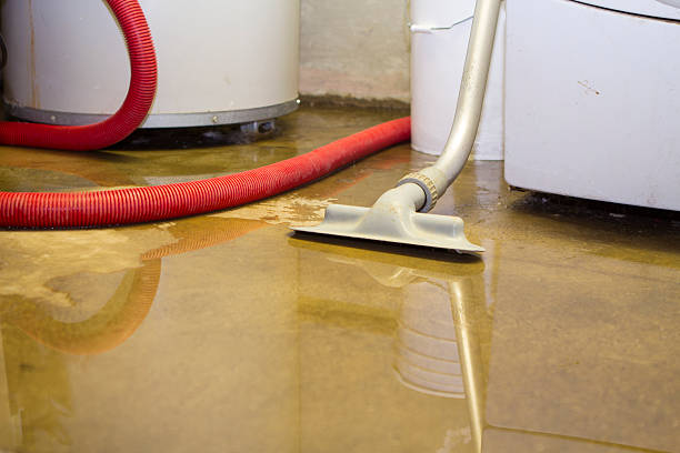 Best Residential water damage restoration  in Deerfield, WI