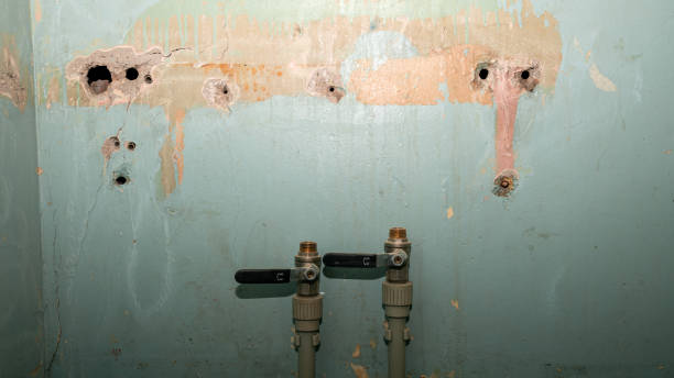Best Fire Damage Restoration  in Deerfield, WI