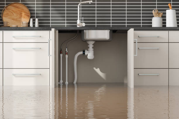 Best Water damage restoration company  in Deerfield, WI